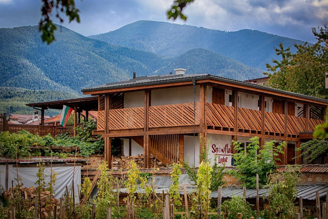 Къщи За Гости Сноуфлейк Snowflake Chalet And Snowflake Lodge بانسكو المظهر الخارجي الصورة