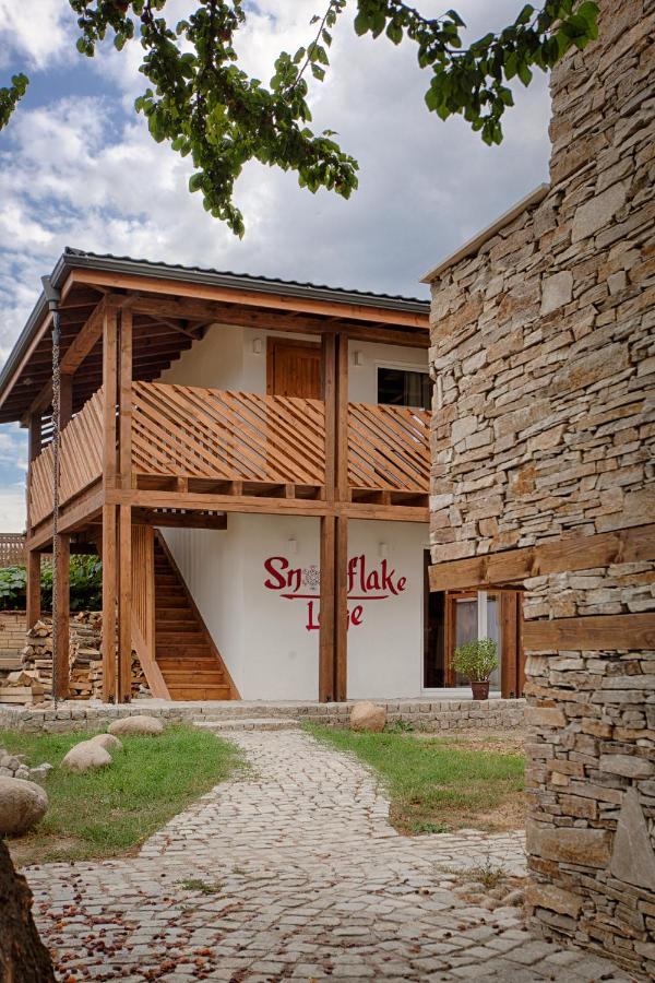 Къщи За Гости Сноуфлейк Snowflake Chalet And Snowflake Lodge بانسكو المظهر الخارجي الصورة